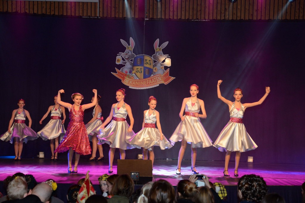 ../Images/Dansmarieke festival 2015 382.jpg
